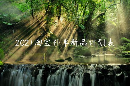 2021淘寶補(bǔ)單新品計(jì)劃表